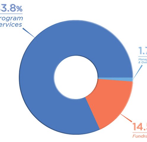 Smile train financials