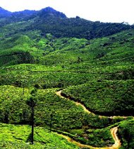 Photo of a mountain road in India