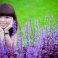 Quotes to Smile