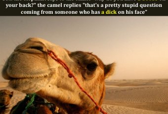 Quotes that make people smile