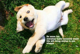 Quotes to make someone smile